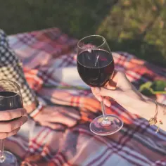 Jakie wino na trawienie? Odkryj najlepsze opcje dla zdrowia