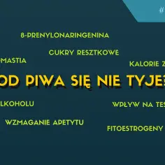 Czy od piwa się tyje? Odkryj prawdę o kaloriach i wadze