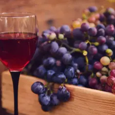 Wino bez drożdży ile procent? Zaskakujące fakty o alkoholu w winie